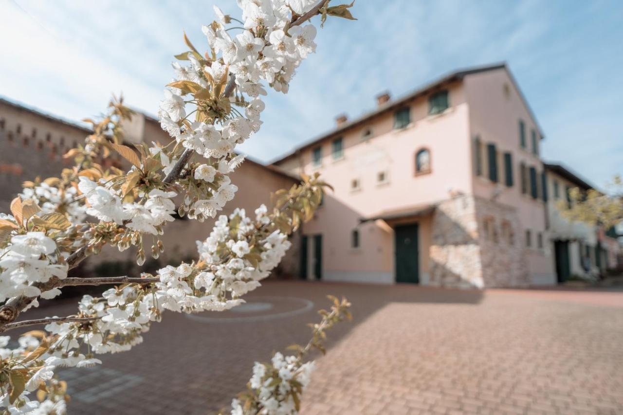 Agriturismo San Francesco Valeggio sul Mincio Extérieur photo
