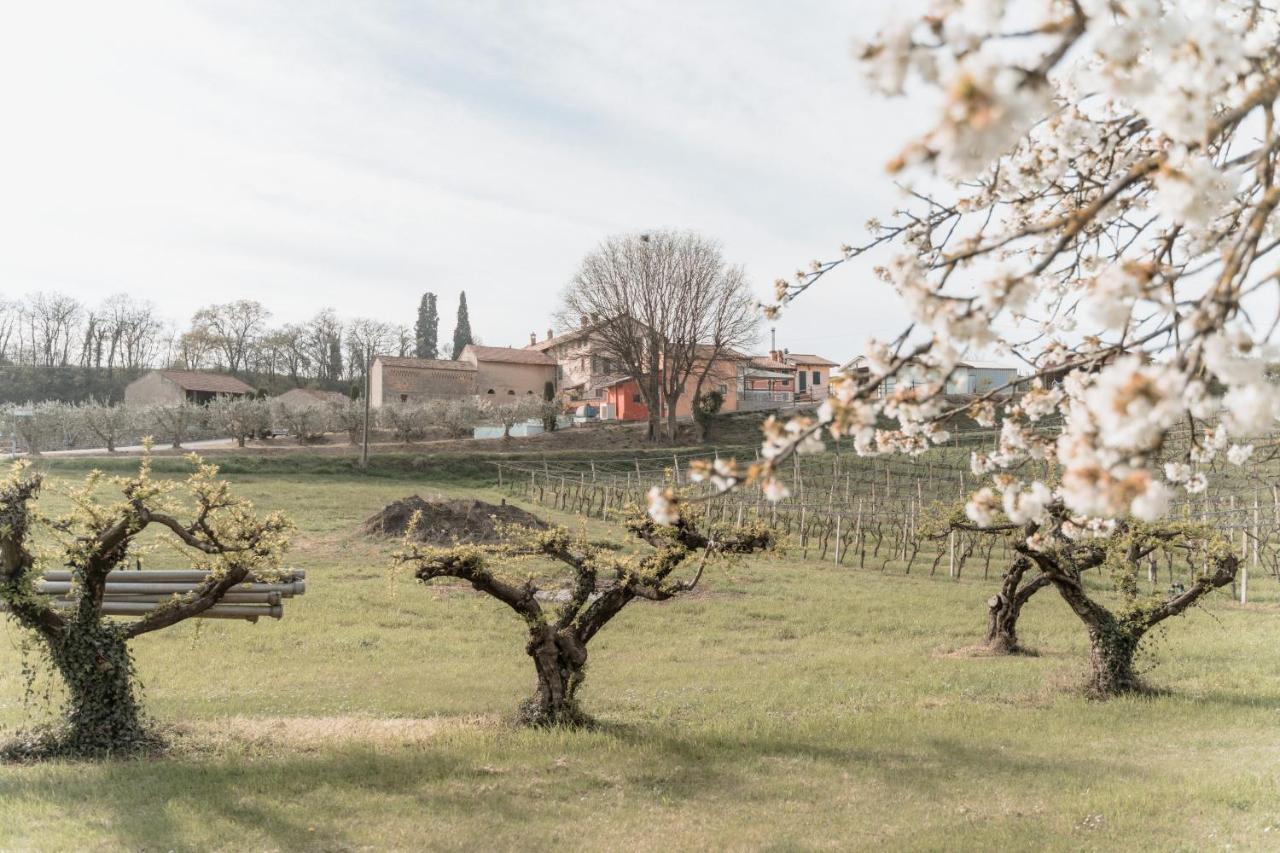 Agriturismo San Francesco Valeggio sul Mincio Extérieur photo