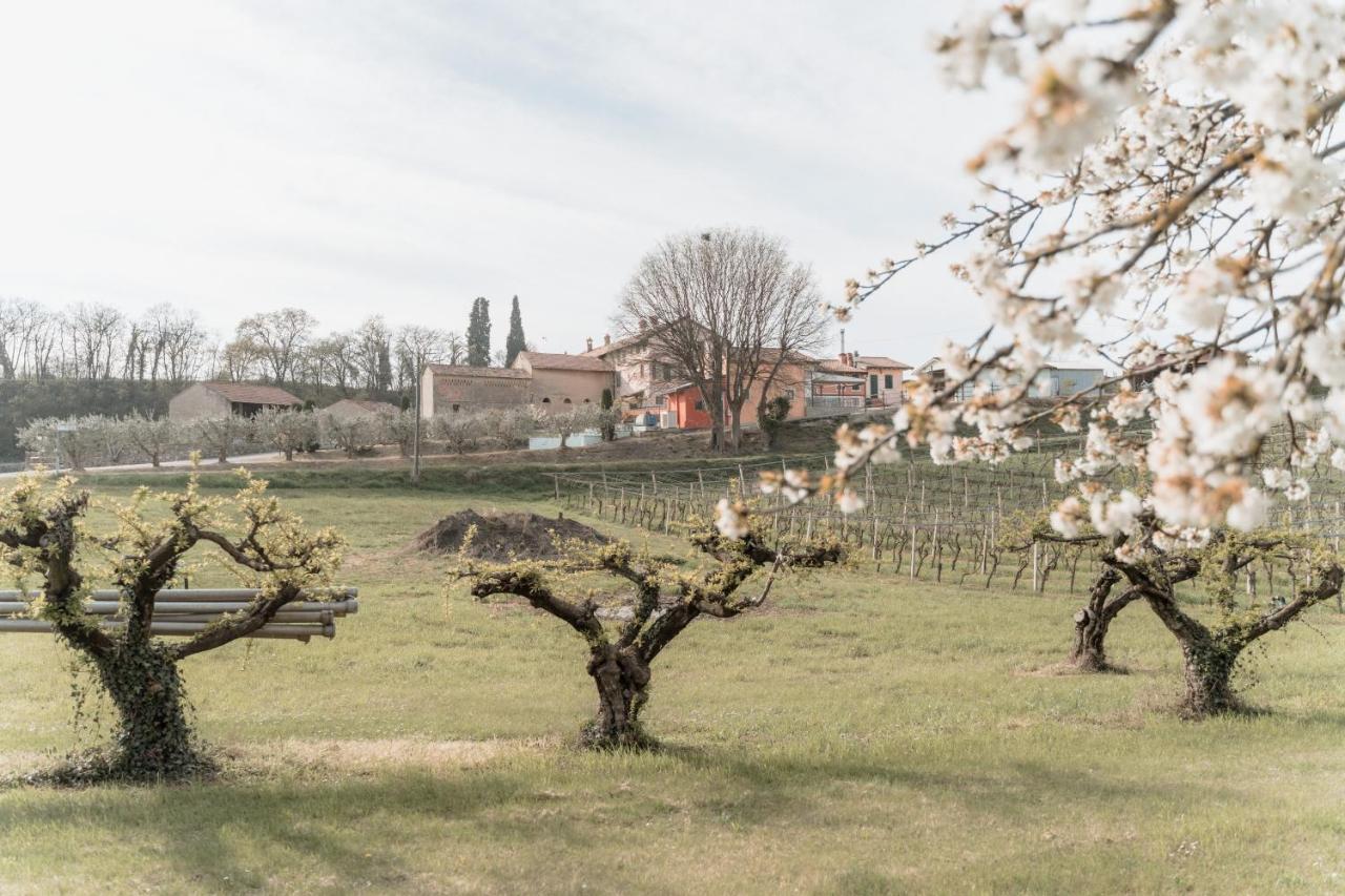 Agriturismo San Francesco Valeggio sul Mincio Extérieur photo