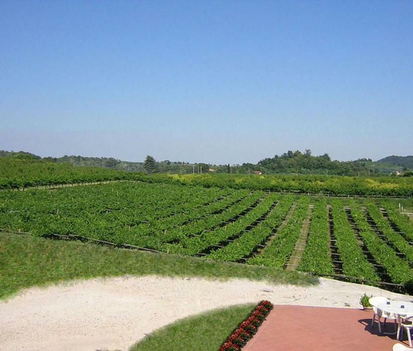 Agriturismo San Francesco Valeggio sul Mincio Extérieur photo