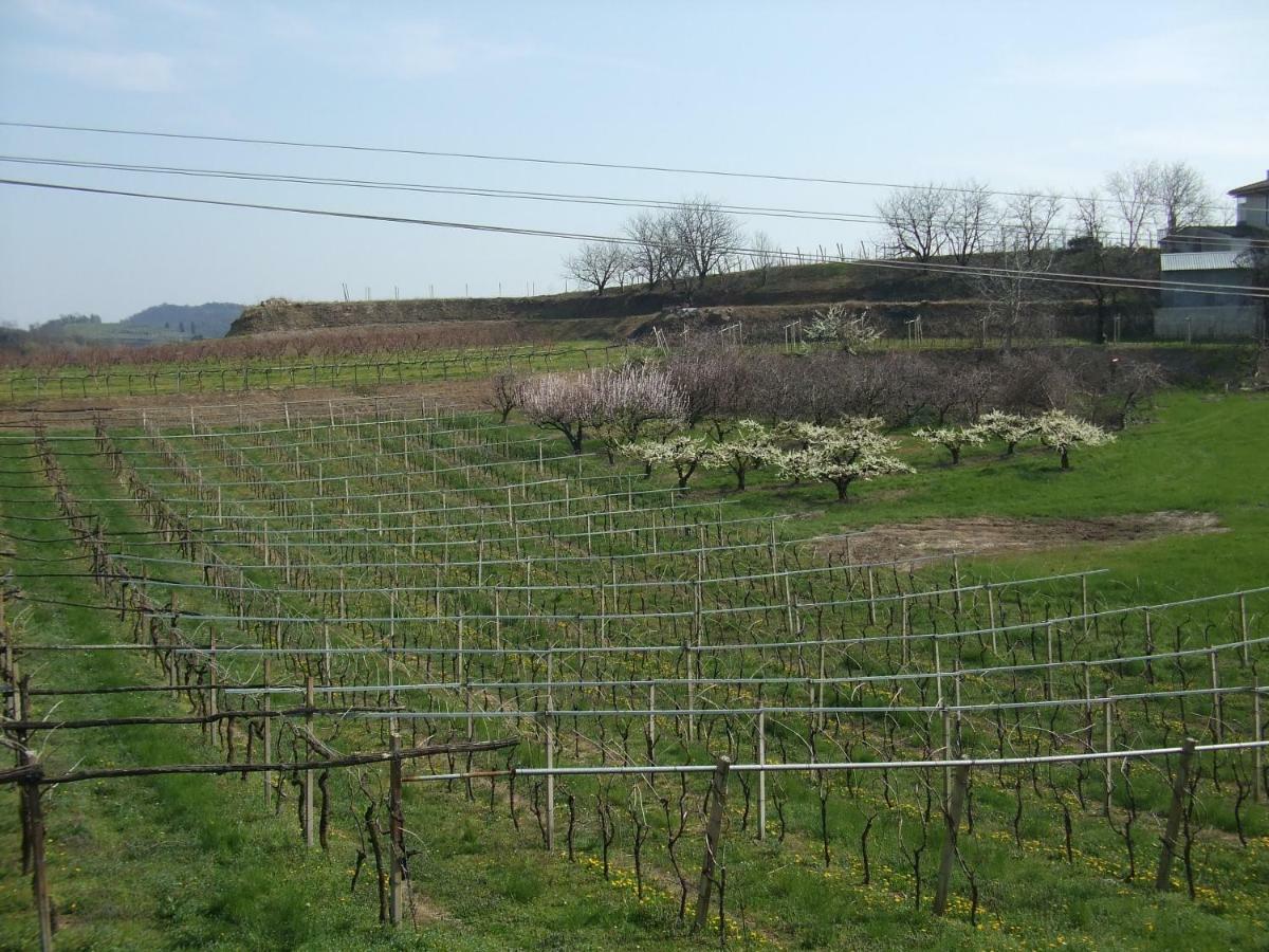 Agriturismo San Francesco Valeggio sul Mincio Extérieur photo